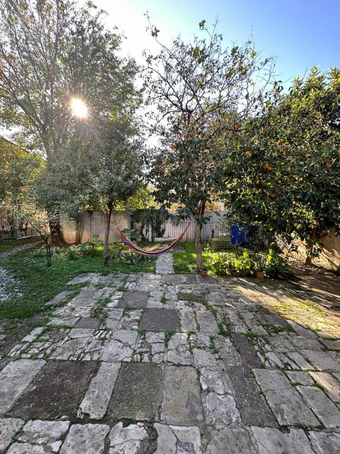 Guest House Amazon Kutaisi Exterior photo