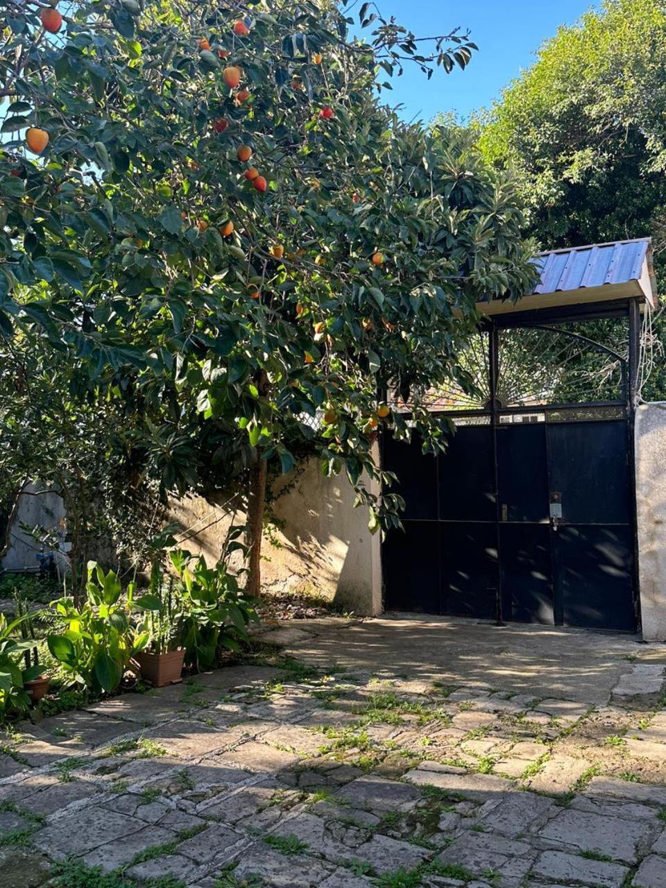 Guest House Amazon Kutaisi Room photo