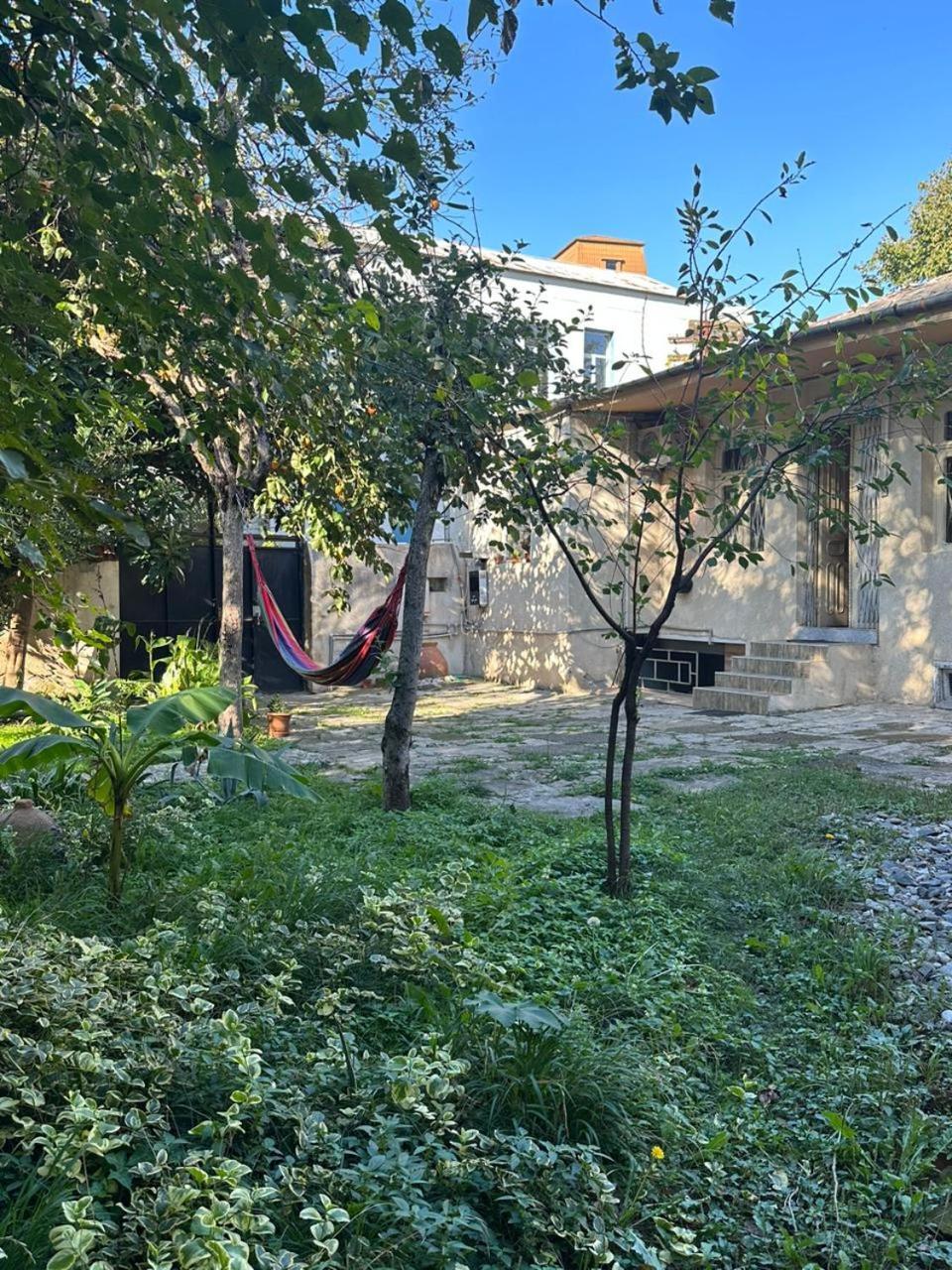 Guest House Amazon Kutaisi Room photo